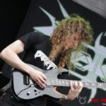 Into The Grave 2016: Vektor